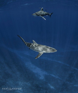 Silky in the foreground and oceanic in the background
 by Ken Kiefer 